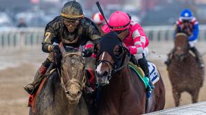 NTRA Triple Crown poll, Sierra Leone, Dornoch, Kentucky Derby